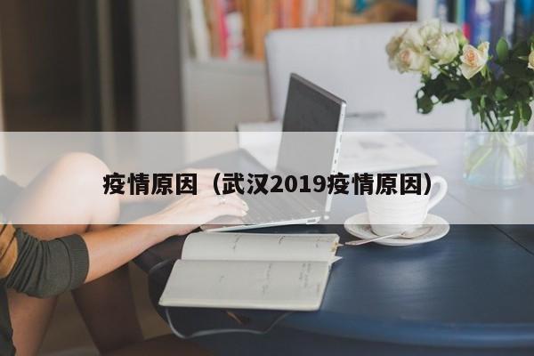疫情原因(武汉2019疫情原因)